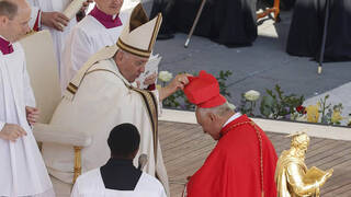 El Papa Francisco “ya respondió” con humilde sabiduría a las polémicas interpelaciones de 5 cardenales